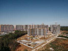 Монолитные работы, возведение стен